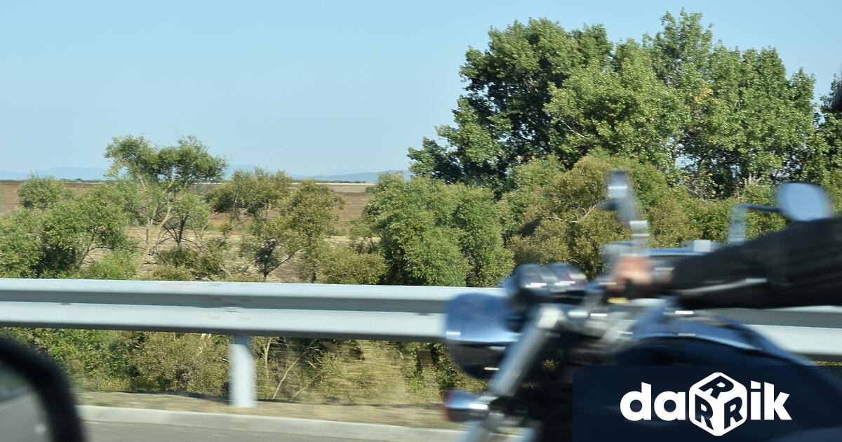 На 25 август 2022 година около 17:10 часа на улица