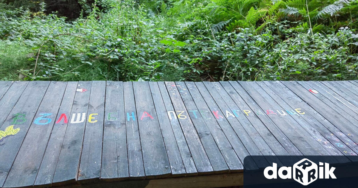 След като /с помощта на приятели, татковци и дядовци и