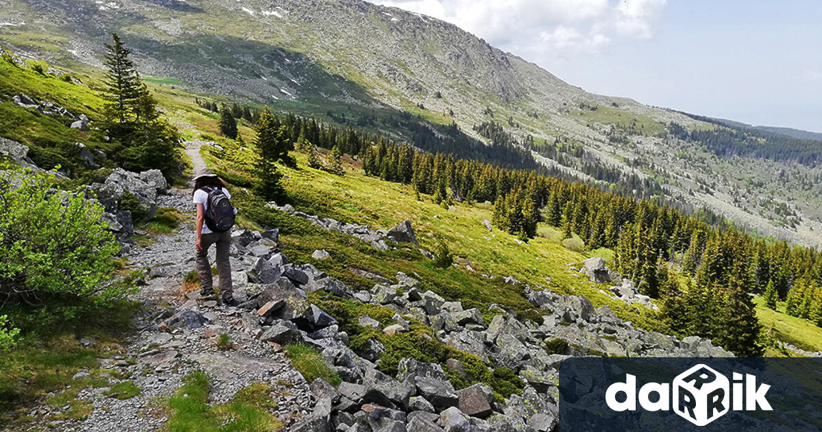 Поход до витошкия първенец Черни връх по стъпките на Алеко