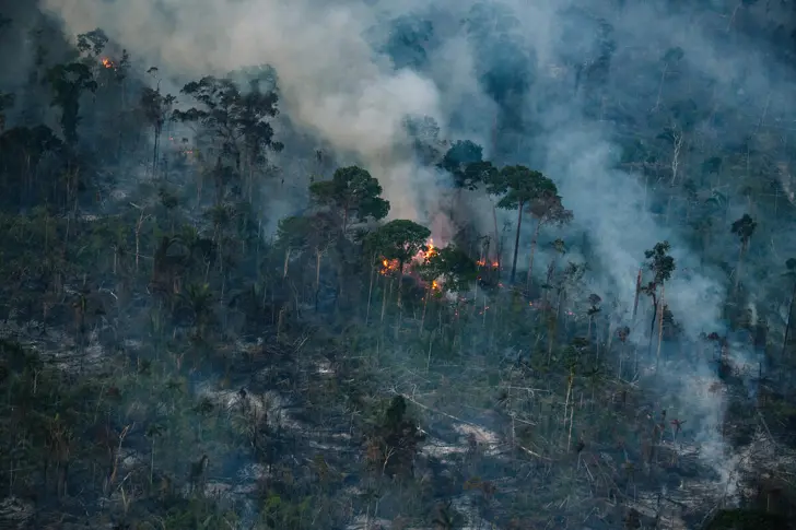 Амазонската екваториална гора изпрати август с рекорден брой тежки пожари