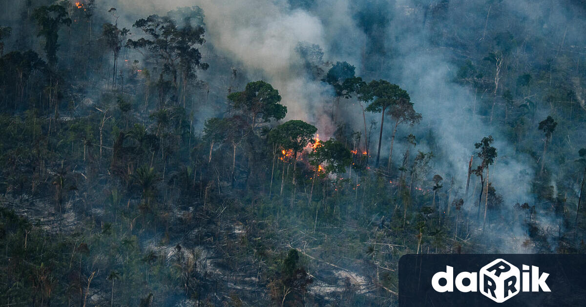Според бразилския институт за космически изследвания INPE през август в