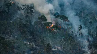 Амазонската екваториална гора изпрати август с рекорден брой тежки пожари