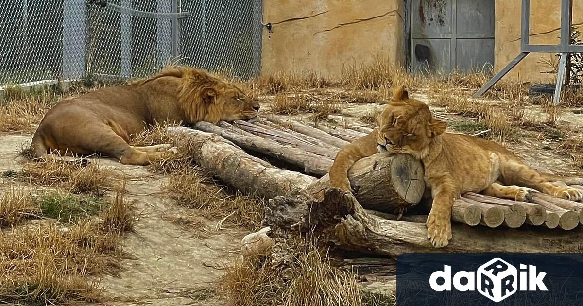 Да се ограничи скоростта по бул.“Княз Борис I“ в района