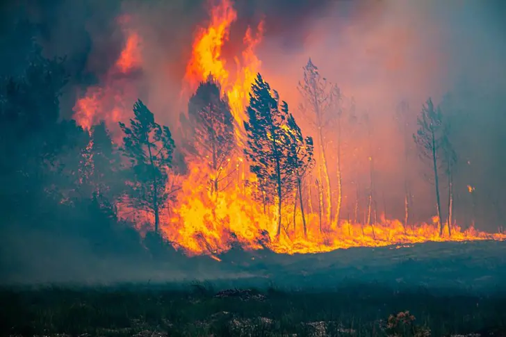 8 пожарни гасят гора край Мустрак