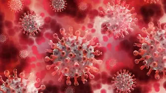 61 са новите случаи на коронавирус във Варненска област за