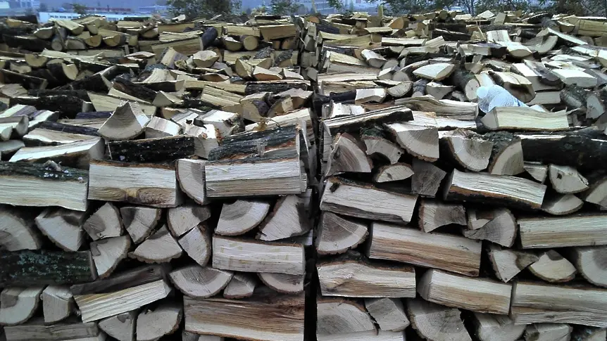 Дирекция „Социално подпомагане” - Мездра  предоставя дърва за огрев на преференциални цени на правоимащите  за новия отоплителен сезон