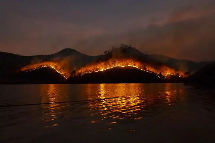 Хиляди се евакуират, докато горски пожар се разпространява в Калифорния