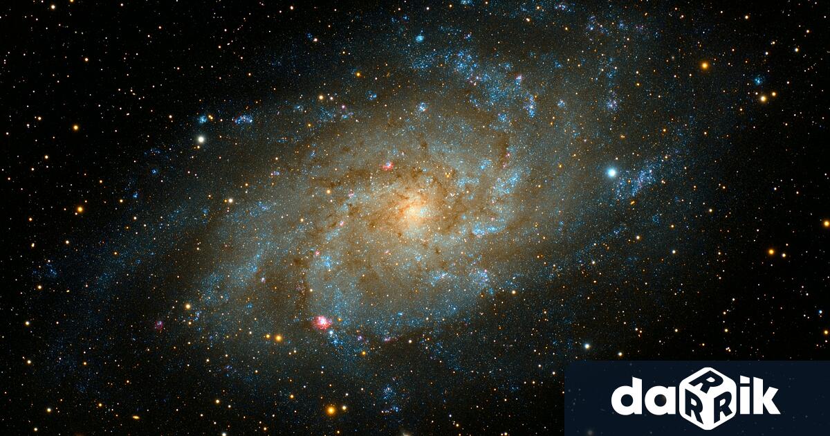 Деца и младежи ще могат да зададат въпроси на космонавтката