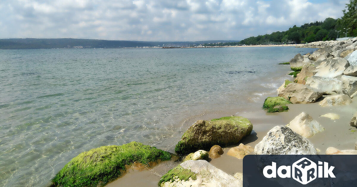 Международен екип от учени и експерти започва работа по изготвяне