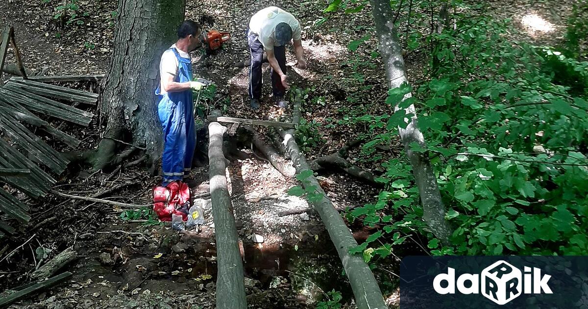 Служители на Дирекция на Природен парк Сините камъни ремонтираха моста