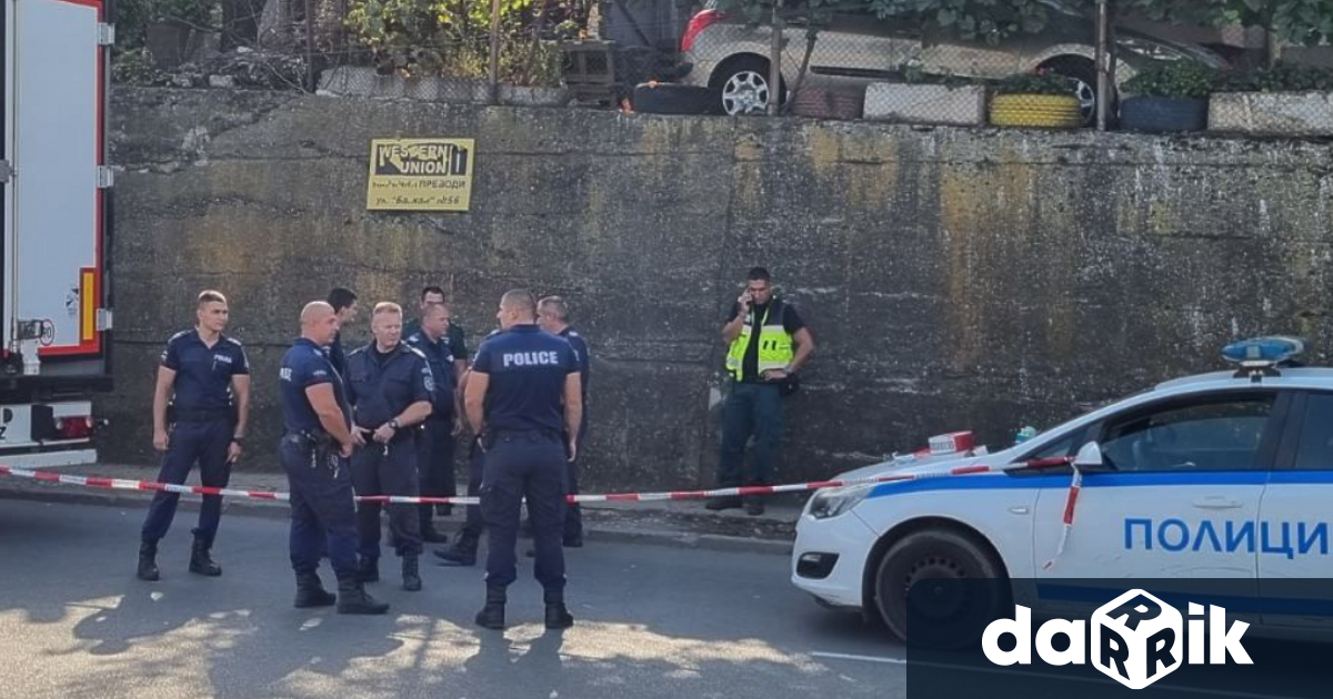 СДВР задържа 37 мигранти при няколко спецакции на територията на