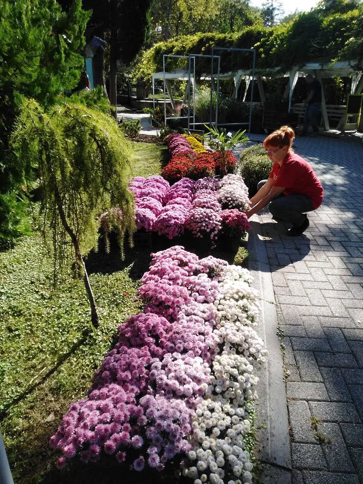 „Флора Есен“ очаква своите посетители от 8 септември
