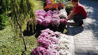 Цветният базар Флора Есен очаква своите посетители в дните от