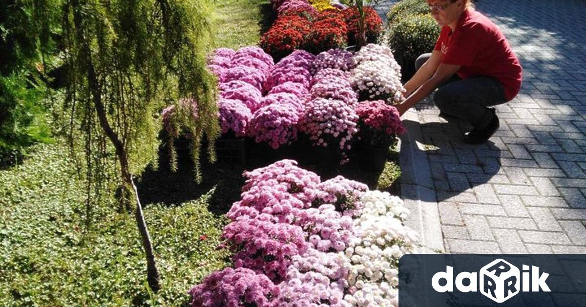Цветният базар Флора Есен“ очаква своите посетители в дните от