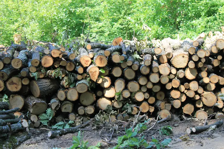 Иззеха каруца с дърва за огрев в Хасково