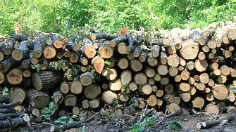 Иззеха каруца с дърва за огрев в Хасково