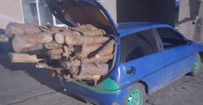 Задържаха кола с незаконни дърва, бракониерите се опитаха да запалят автомобила