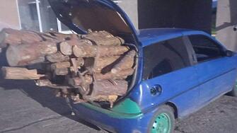 Горски служители от ТП ДГС Дупница задържаха автомобил с дърва