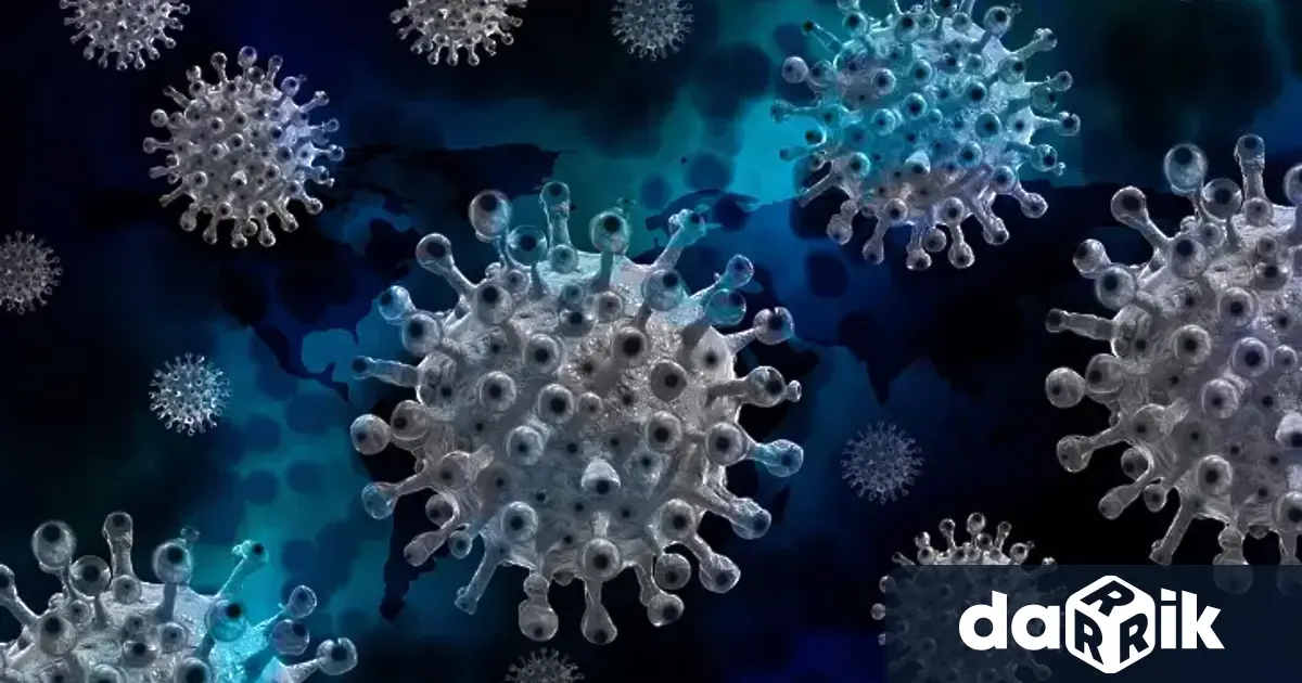 Четири нови случая на Ковид-19 отчитат здравните власти в Русенско