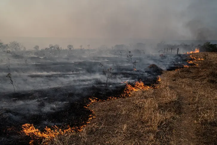 След пожарите: Големи части от Амазония може никога да не се възстановят 