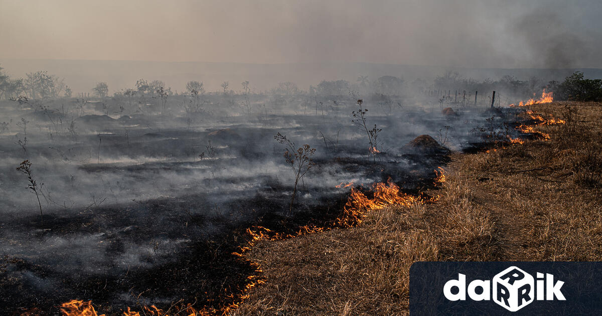 Унищожаването на околната среда в части от Амазонияе толкова тежко,
