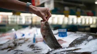 Проверяват пазари и заведения за нерегламентирано добита риба от р. Стряма