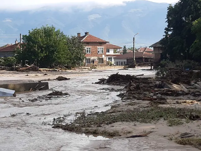 Очаква се проверка за незаконна сеч в наводнените карловски села