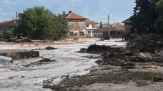 Очаква се проверка за незаконна сеч в наводнените карловски села