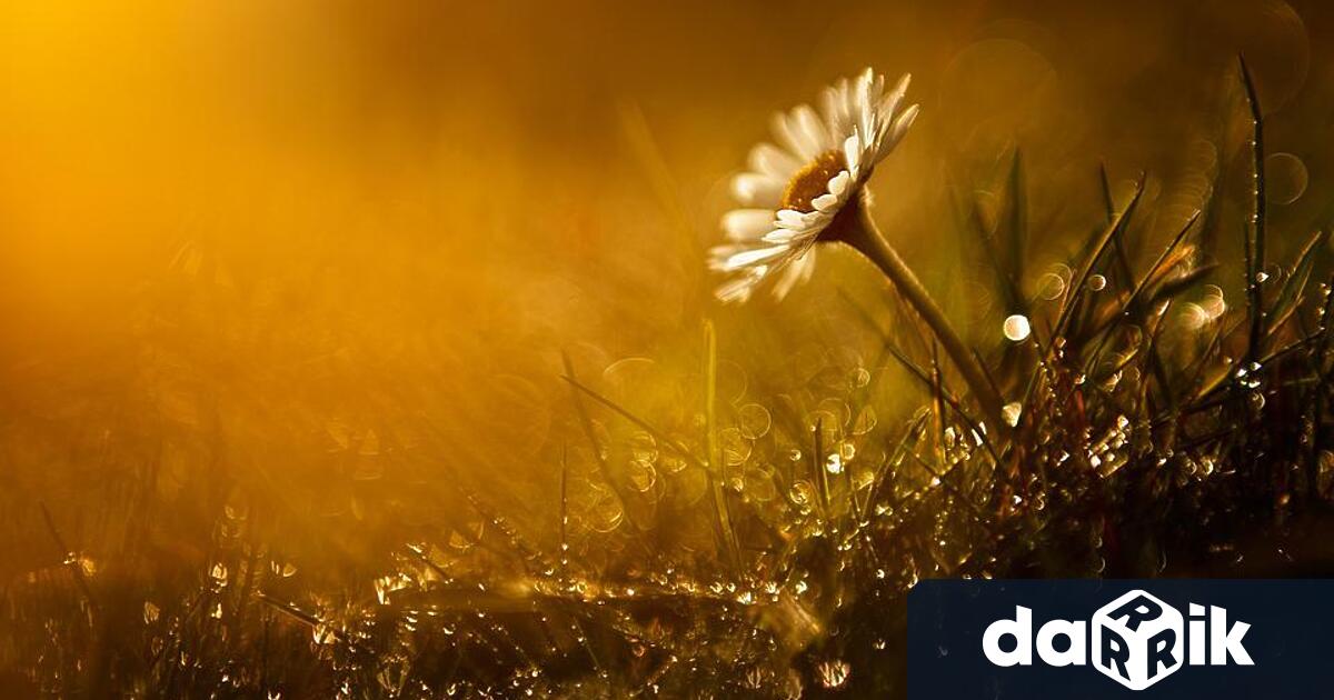 В неделя сутринта на места в котловините и низините ще