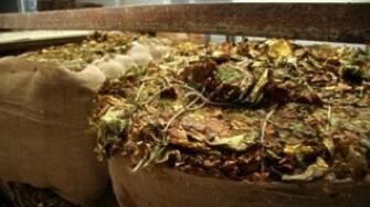 На 6 септември 2022 година около 13 30 часа в частен