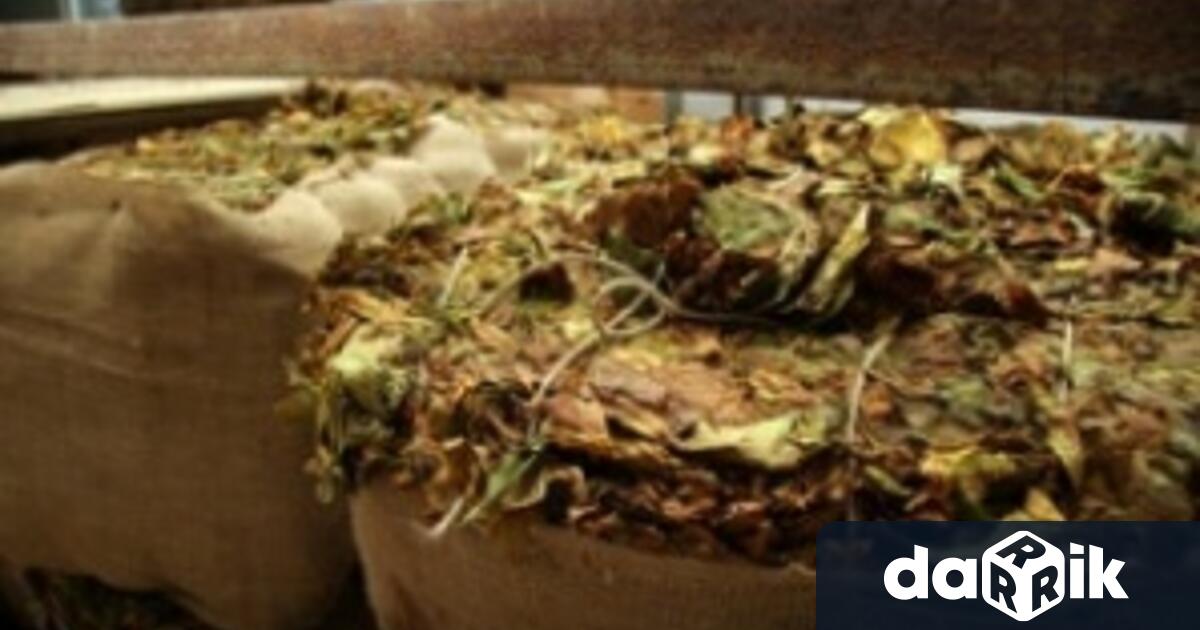 На 6 септември 2022 година около 13:30 часа в частен