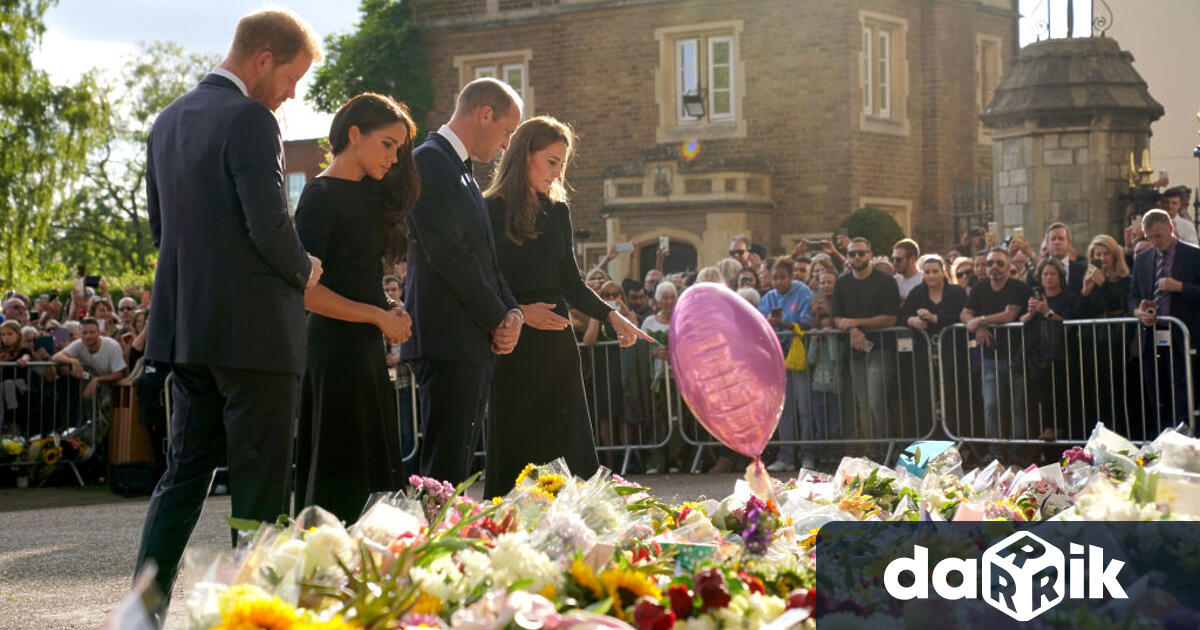 Гледката на принцовете Уилям и Хари, които излязоха заедно пред