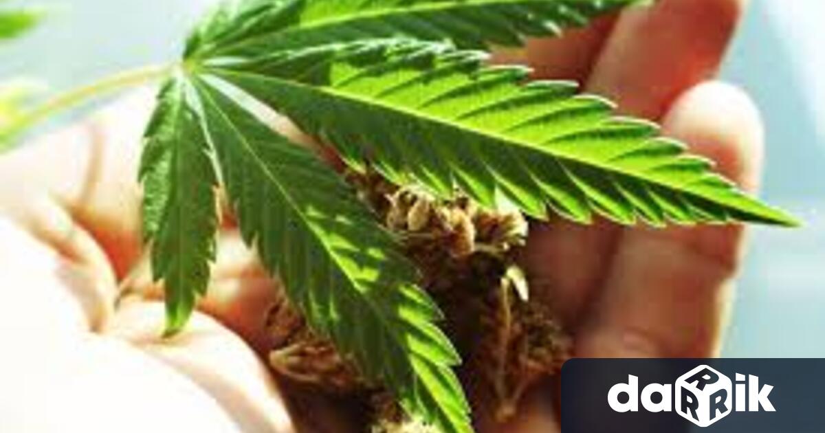 18-годишен от с. Дългоделци, обл. Монтана е бил задържан в