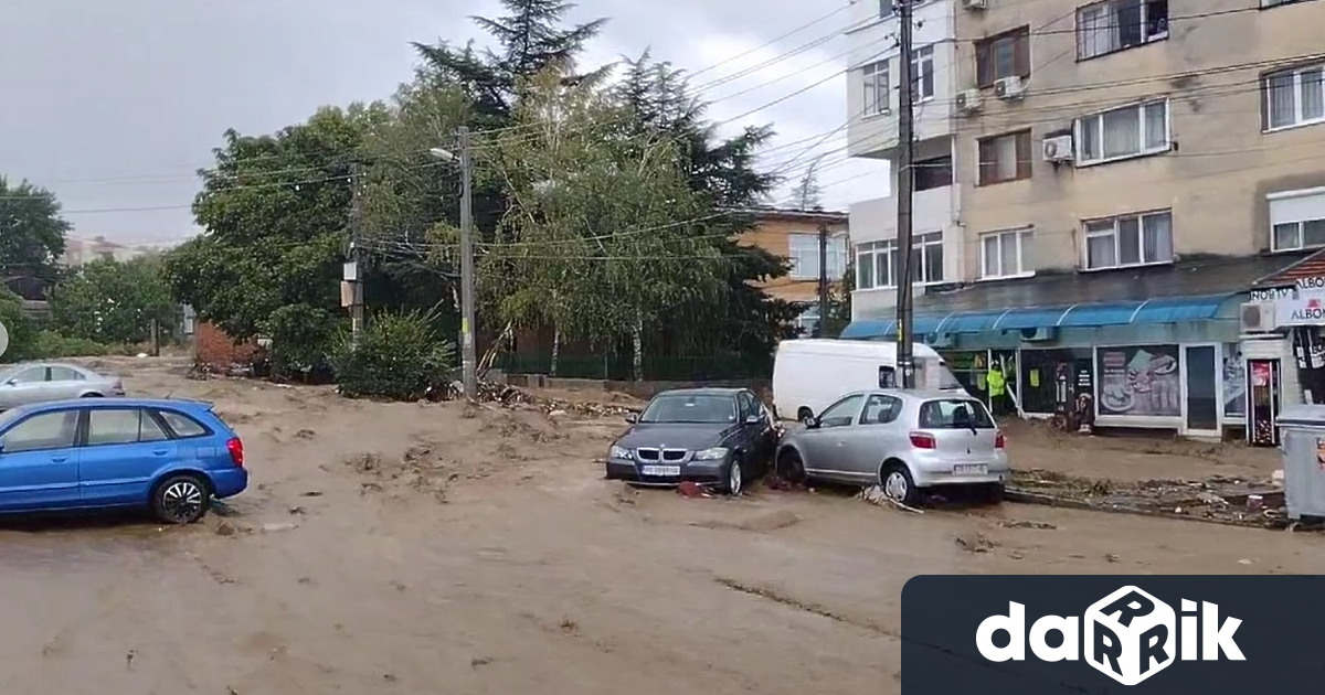 Завивки, възглавници, одеала и препарати за почистване и храна в