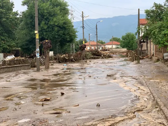 Засега няма установена незаконна сеч в Карловско, проверките продължават