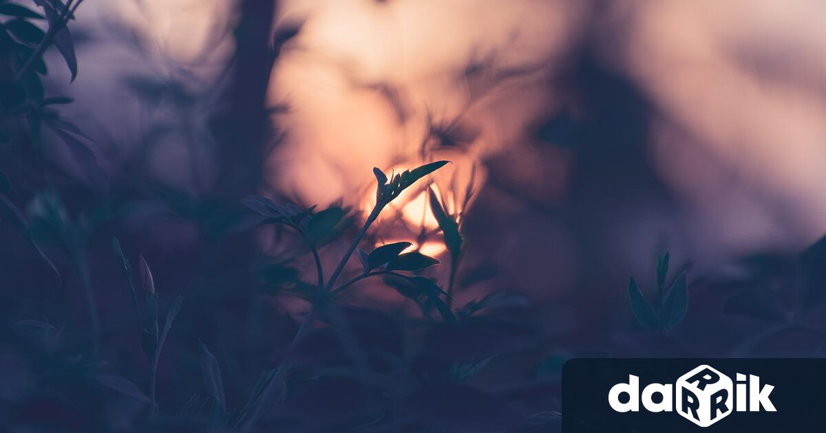 До неделя сутринта в североизточните райони валежите ще спрат и