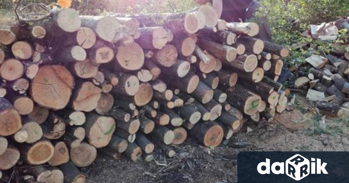 На 13.09.2022г., служители на РУЕ Бяла Слатина са открили незаконно