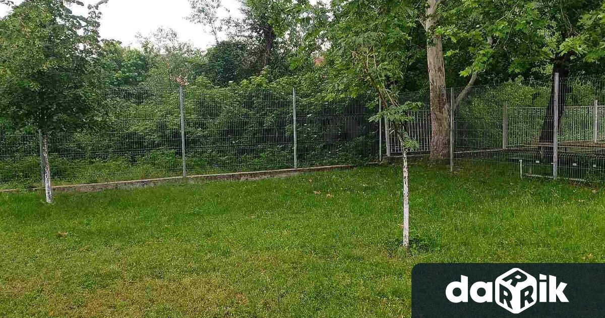 ДГ Слънце град Кюстендил спечели проект на МОН по Национална