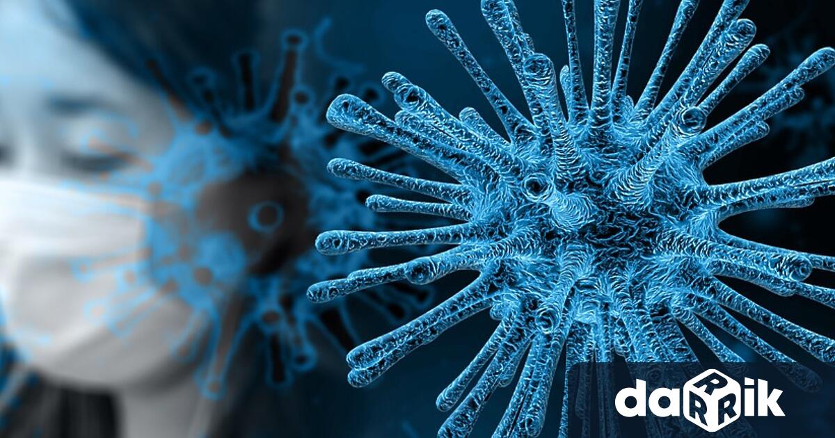 544 са регистрираните новозаразени с Ковид-19 през последното денонощие у