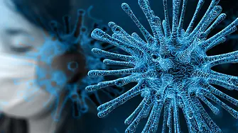 544 са заразените с коронавирус у нас
