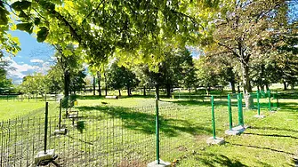 Враца има обособена площадка за разхождане на домашни любимци в парка при стадиона 