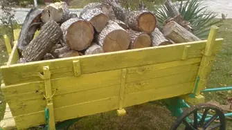 Намериха незаконно придобити дърва в частни   имоти във врачанско