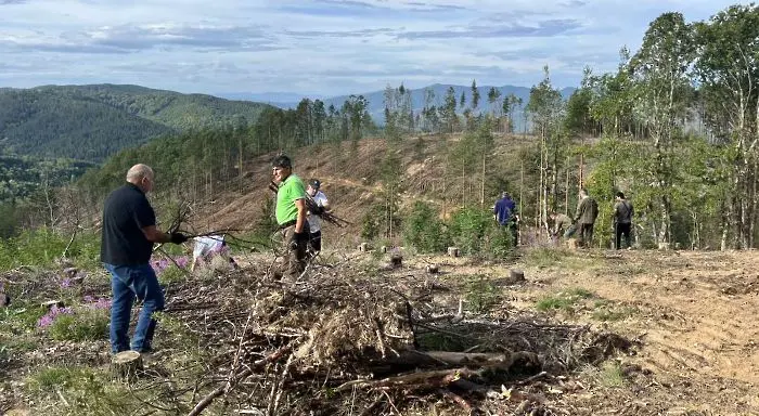 Служители на ЮЗДП почистиха горски площи, повредени след пожар