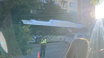 Автобус на градския транспорт се заби в дърво, има пострадали