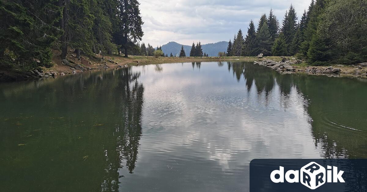 С температури под нулата осъмнаха тази сутрин в Смолянско. Най-студено
