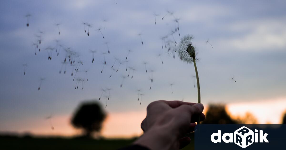 В неделя ще е ветровито. Със запад-северозападен вятър ще нахлува