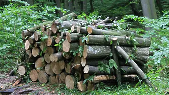Над 23 000 домакинства в Североизтока са снабдени с дърва за огрев