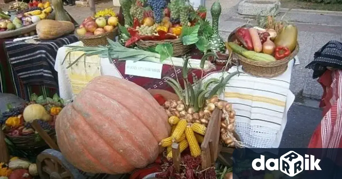 Повече от 250 участника има в музикалната програма за Празника