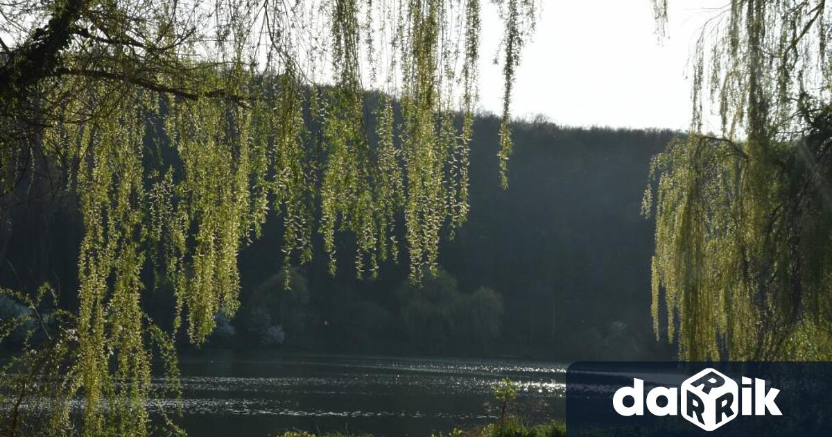 Тази година астрономическата есен настъпи у нас в 4:04 часа