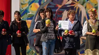 Най-едрата ябълка в Кюстендилско е от Драговищица – с цели 39 см обиколка